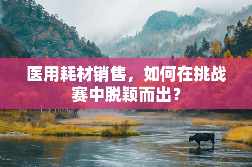 医用耗材销售，如何在挑战赛中脱颖而出？