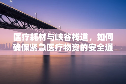 医疗耗材与峡谷栈道，如何确保紧急医疗物资的安全通道？