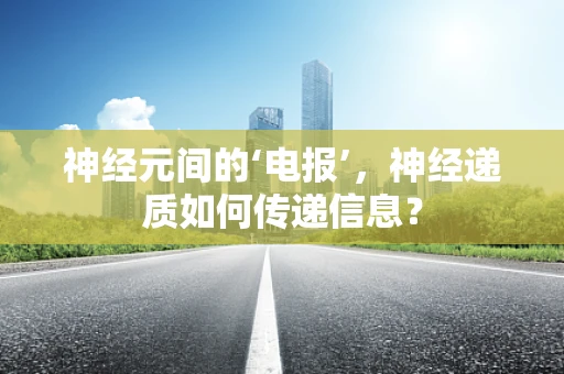 神经元间的‘电报’，神经递质如何传递信息？
