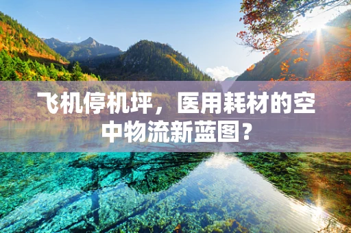 飞机停机坪，医用耗材的空中物流新蓝图？