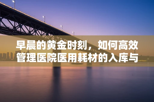 早晨的黄金时刻，如何高效管理医院医用耗材的入库与出库？