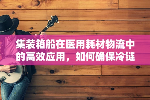 集装箱船在医用耗材物流中的高效应用，如何确保冷链不断？