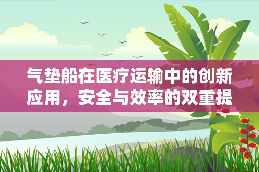 气垫船在医疗运输中的创新应用，安全与效率的双重提升？