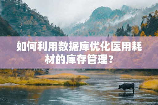 如何利用数据库优化医用耗材的库存管理？