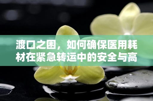 渡口之困，如何确保医用耗材在紧急转运中的安全与高效？
