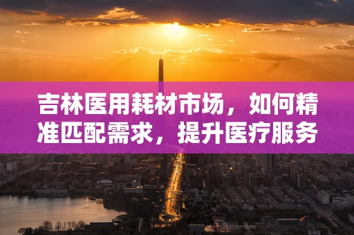 吉林医用耗材市场，如何精准匹配需求，提升医疗服务效率？