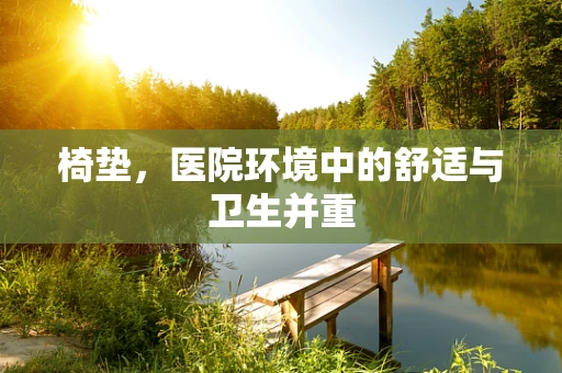 椅垫，医院环境中的舒适与卫生并重