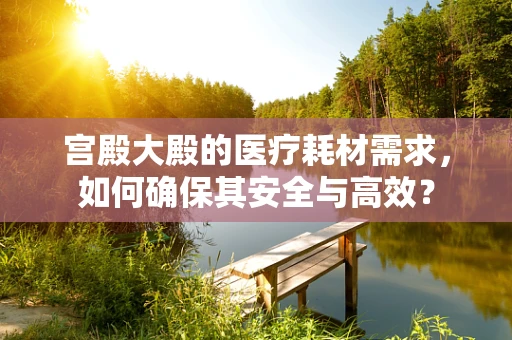 宫殿大殿的医疗耗材需求，如何确保其安全与高效？