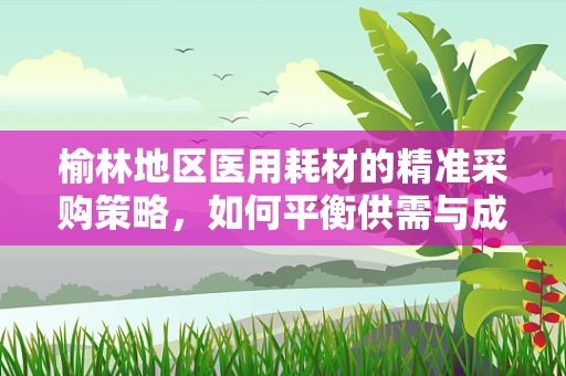 榆林地区医用耗材的精准采购策略，如何平衡供需与成本控制？