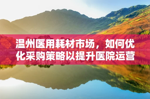 温州医用耗材市场，如何优化采购策略以提升医院运营效率？
