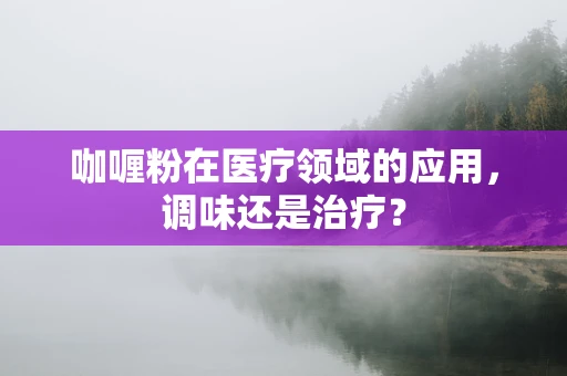 咖喱粉在医疗领域的应用，调味还是治疗？