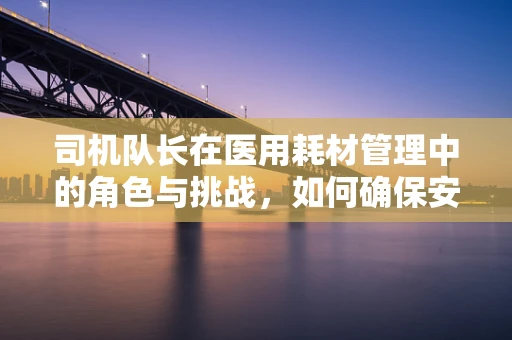 司机队长在医用耗材管理中的角色与挑战，如何确保安全高效配送？