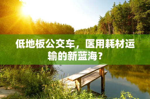 低地板公交车，医用耗材运输的新蓝海？