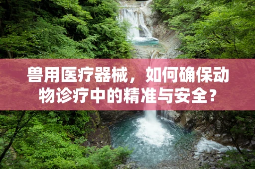 兽用医疗器械，如何确保动物诊疗中的精准与安全？