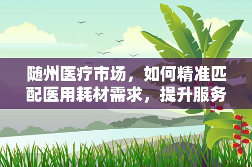 随州医疗市场，如何精准匹配医用耗材需求，提升服务效率？
