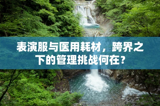 表演服与医用耗材，跨界之下的管理挑战何在？