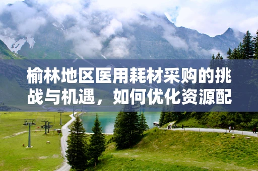 榆林地区医用耗材采购的挑战与机遇，如何优化资源配置？
