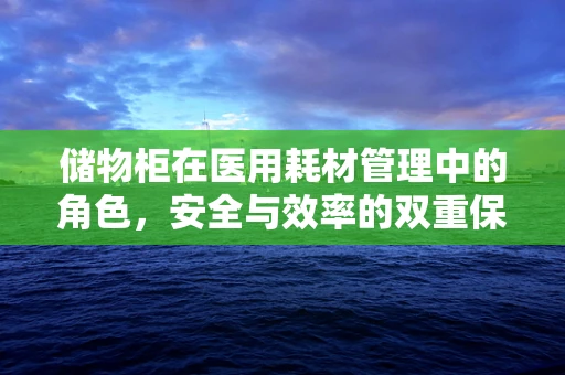 储物柜在医用耗材管理中的角色，安全与效率的双重保障？