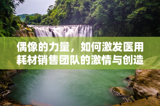 偶像的力量，如何激发医用耗材销售团队的激情与创造力？