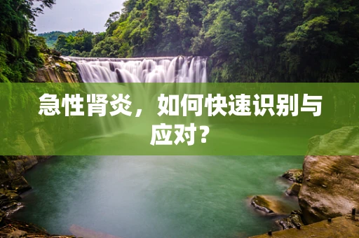 急性肾炎，如何快速识别与应对？
