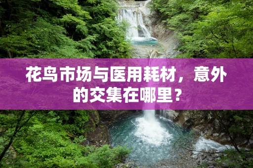 花鸟市场与医用耗材，意外的交集在哪里？