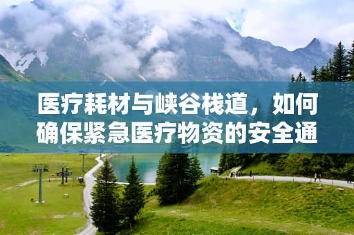 医疗耗材与峡谷栈道，如何确保紧急医疗物资的安全通道？