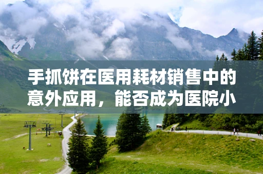 手抓饼在医用耗材销售中的意外应用，能否成为医院小食区的创新之选？