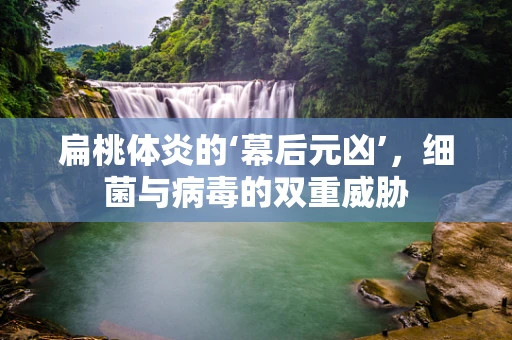 扁桃体炎的‘幕后元凶’，细菌与病毒的双重威胁