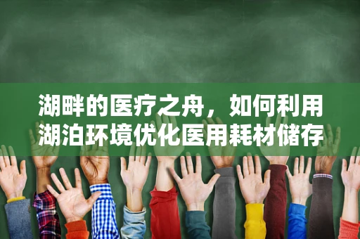 湖畔的医疗之舟，如何利用湖泊环境优化医用耗材储存？