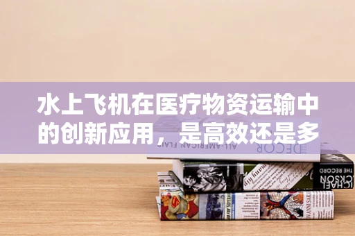 水上飞机在医疗物资运输中的创新应用，是高效还是多余？