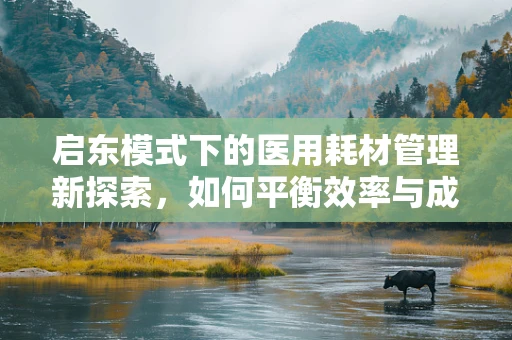 启东模式下的医用耗材管理新探索，如何平衡效率与成本控制？