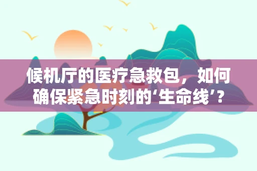 候机厅的医疗急救包，如何确保紧急时刻的‘生命线’？