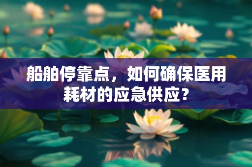 船舶停靠点，如何确保医用耗材的应急供应？