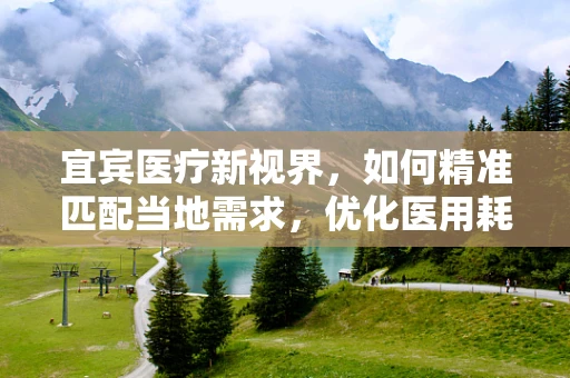 宜宾医疗新视界，如何精准匹配当地需求，优化医用耗材采购策略？