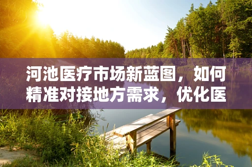 河池医疗市场新蓝图，如何精准对接地方需求，优化医用耗材供应？