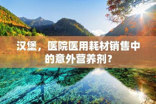 汉堡，医院医用耗材销售中的意外营养剂？