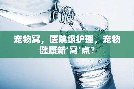 宠物窝，医院级护理，宠物健康新‘窝’点？
