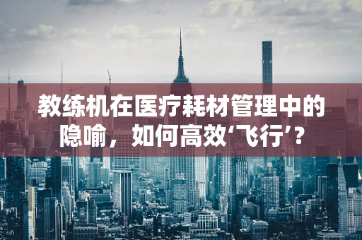 教练机在医疗耗材管理中的隐喻，如何高效‘飞行’？