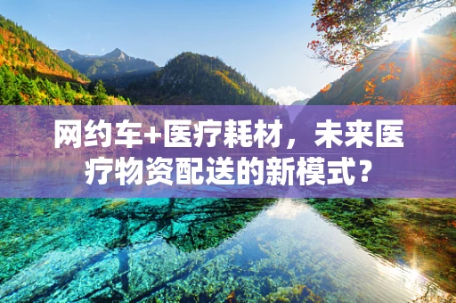 网约车+医疗耗材，未来医疗物资配送的新模式？
