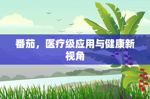 番茄，医疗级应用与健康新视角
