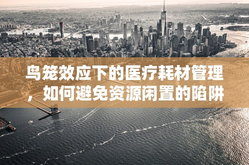 鸟笼效应下的医疗耗材管理，如何避免资源闲置的陷阱？