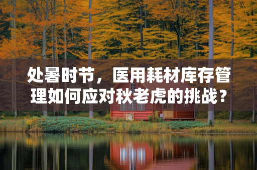处暑时节，医用耗材库存管理如何应对秋老虎的挑战？