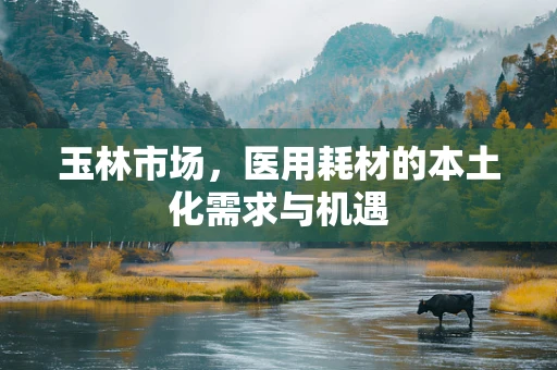 玉林市场，医用耗材的本土化需求与机遇