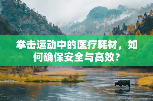 拳击运动中的医疗耗材，如何确保安全与高效？