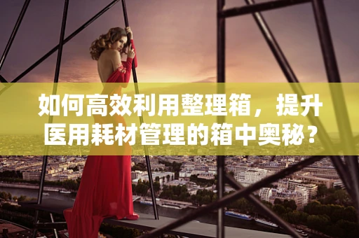 如何高效利用整理箱，提升医用耗材管理的箱中奥秘？