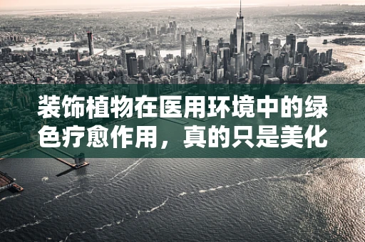 装饰植物在医用环境中的绿色疗愈作用，真的只是美化吗？