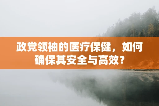 政党领袖的医疗保健，如何确保其安全与高效？