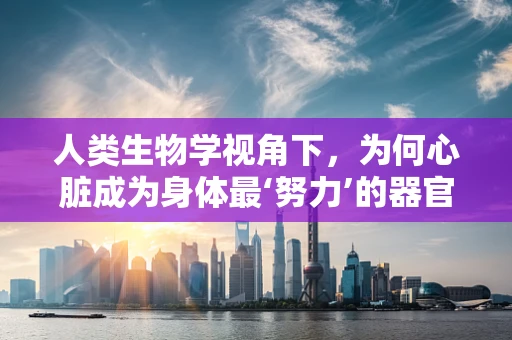 人类生物学视角下，为何心脏成为身体最‘努力’的器官？