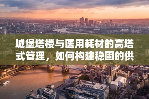 城堡塔楼与医用耗材的高塔式管理，如何构建稳固的供应链？