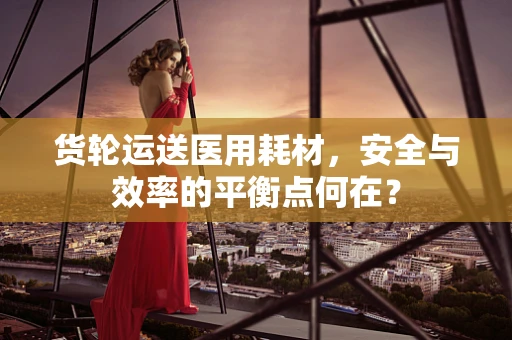 货轮运送医用耗材，安全与效率的平衡点何在？